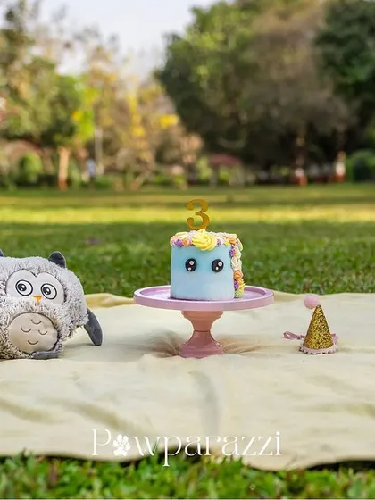 A simple, elegant setup for Noor's 3rd Gotcha Day cake smash. Even with minimal props, the focus is all on her and the celebration of the day she found her forever home.