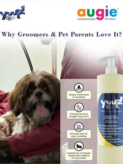 Groomers and pet parents love this detangling conditioner because it deeply moisturizes, prevents future knots, and smooths hair for easy combing. It's a must-have for long-coated breeds.