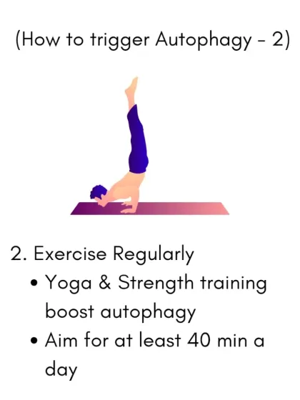 Did you know that regular exercise like yoga and strength training can trigger Autophagy? This is your body's natural detox process, helping to remove damaged cells and slow down aging. Aim for at least 40 minutes a day.