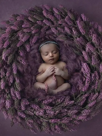 I love working with color to create a specific mood. Here, a newborn sleeps peacefully in a nest of soft, lavender florals. This artistic approach to newborn photography turns a simple portrait into a stunning piece of artwork for your home.