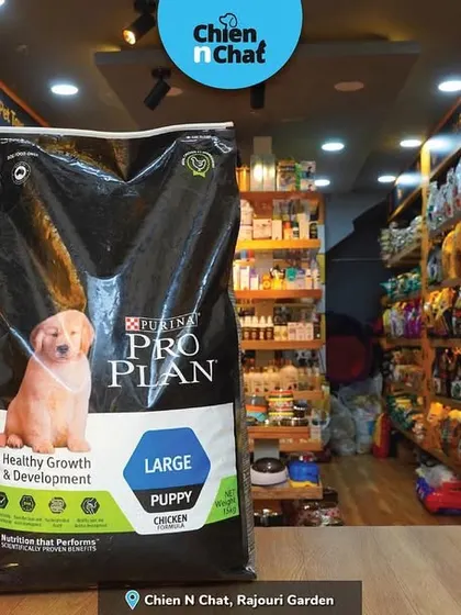 I carry large bags of premium puppy and adult food from brands like N&D and Purina Pro Plan. My store is fully stocked to meet the nutritional needs of growing pups and adult dogs.