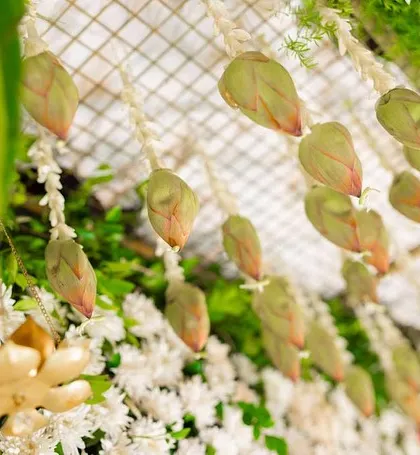 A joyous occasion where a newborn is given a name. I designed this lotus-themed decor to create a warm and festive atmosphere, reflecting the family's personal preferences and the significance of the day.