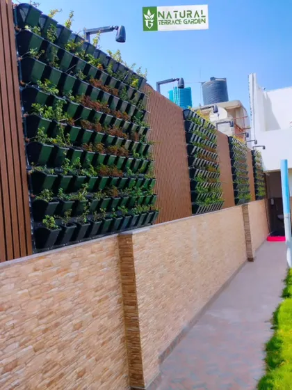 A vertical garden installation on a boundary wall, combined with wood-plastic composite panels for a modern look.