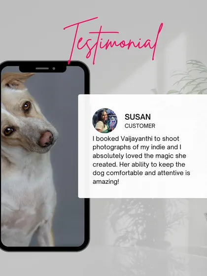A testimonial graphic featuring an indie dog, with the client praising the "magic" of the shoot and my ability to keep the dog comfortable.