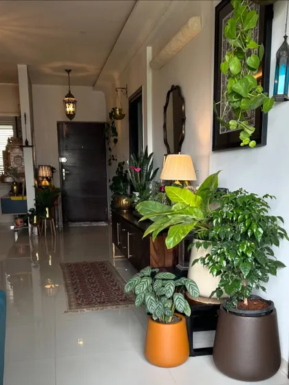 A wider view of the plant corner, showing how it fits into the overall living space.