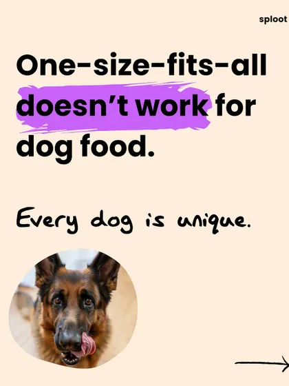 There is no one-size-fits-all solution for dog food. Every dog is unique, and their dietary needs change based on age, breed, and activity level.