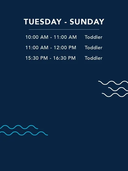 A look at our toddler class timings. Consistent classes help build a routine and accelerate learning for young children.