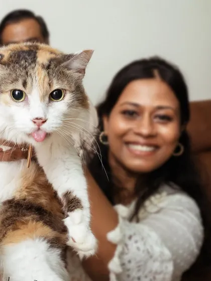 A perfect "blep" from a beautiful calico cat being held by her mom. These silly, cute moments are pure gold.