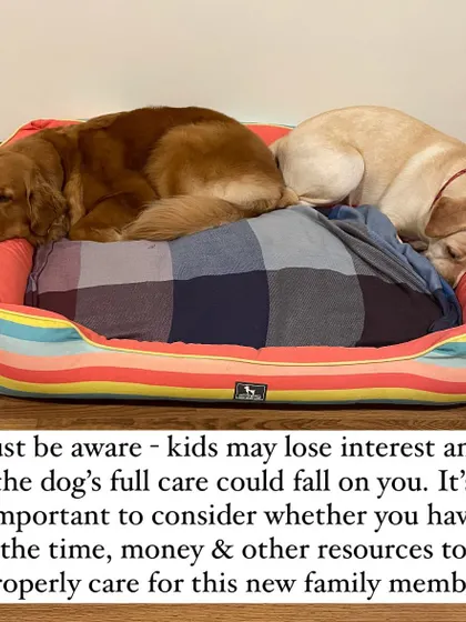 Be aware that a child's interest may fade, and the dog's full care could fall on you. It's crucial to consider if you have the time, money, and resources for this new family member.