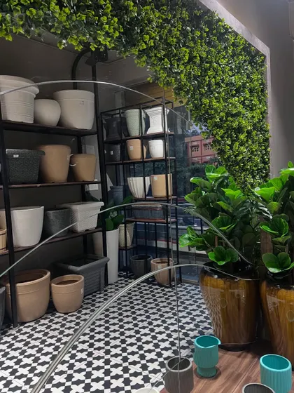 A peek into our Surathkal store through the glass. You can see the shelves filled with a variety of planters and a lush green wall, creating an inviting atmosphere.