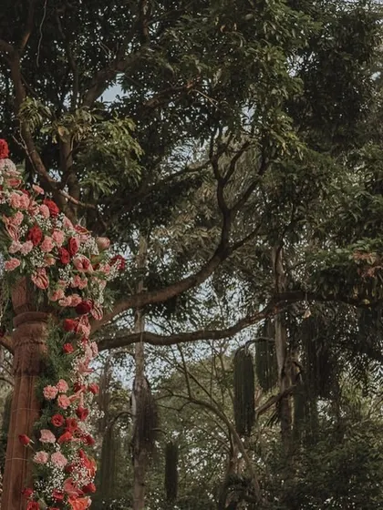 A detailed shot of a floral arch, showcasing the lush combination of roses and greenery against a natural, wooded backdrop.