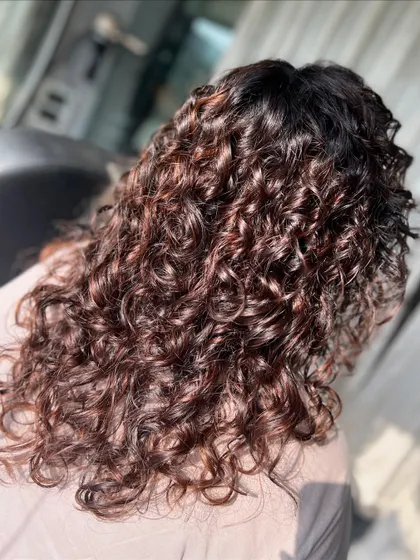 The full back view of these stunning brown curls, showcasing the even color and consistent curl pattern from roots to ends.