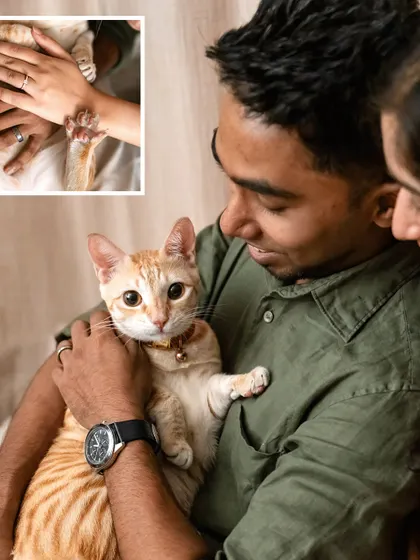 A collage from Toffee's engagement shoot, showing all the cuddles and behind-the-scenes moments. It took a lot of treats, but the results were absolutely worth it.