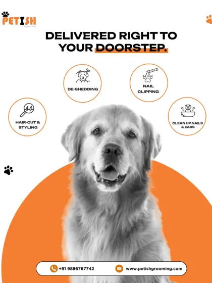 I deliver a full range of services right to your doorstep, including hair-cut and styling, de-shedding, nail clipping, and cleaning up nails and ears.