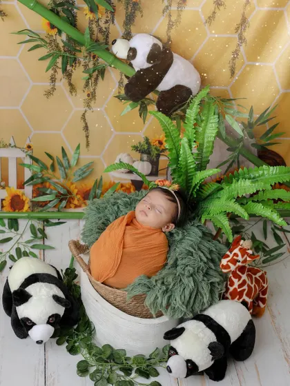 Welcome to the jungle! This adorable panda-themed setup places your sleeping baby among friendly pandas and lush greenery for a cute and imaginative portrait.