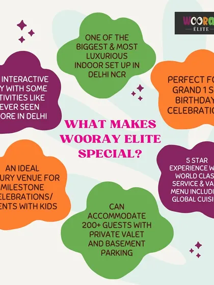 An infographic highlighting what makes our elite party packages special, from our luxurious setup to our capacity for over 200 guests.