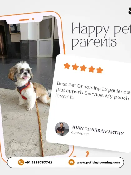"Best Pet Grooming Experience! Just superb Service. My pooch loved it." Thank you, Avin, for this fantastic 5-star review!