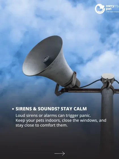 Loud sirens or alarms can trigger panic in pets. Keep them indoors, close the windows to muffle the noise, and stay close to offer comfort.