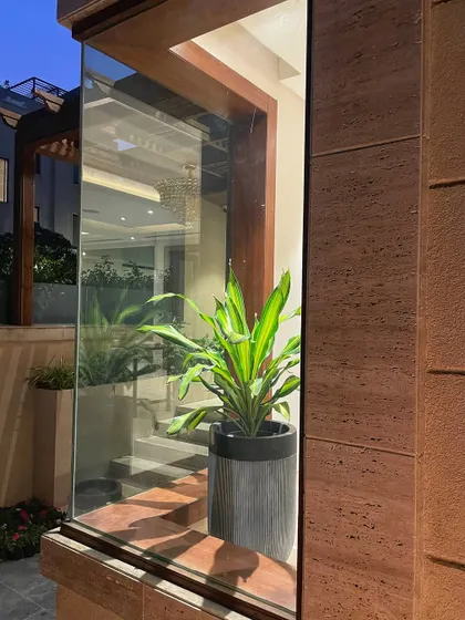 A view from the outside in. This Dracaena plant, placed just inside a large glass window, creates a beautiful silhouette and connects the indoor living space with the greenery outside.