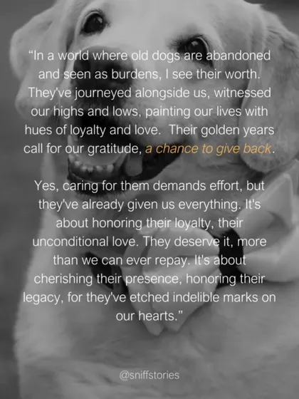 In a world where old dogs are abandoned, I see their worth. Their golden years call for our gratitude. It's about honoring their loyalty and unconditional love.