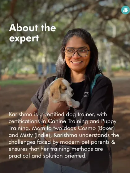 Meet the expert behind our swimming camps. Karishma is a certified trainer with extensive experience, ensuring your dog is in safe and capable hands.