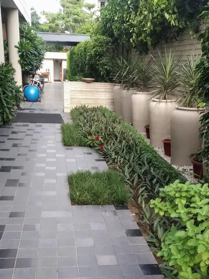 This pathway design uses modern grey tiles and is bordered by large planters and a neatly trimmed hedge. This creates a structured and contemporary look for the entrance of the property.
