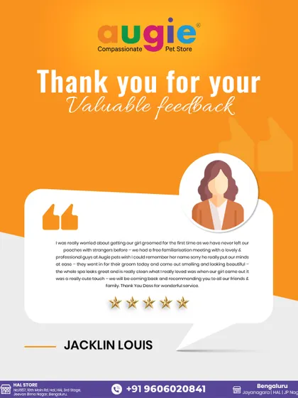 Thank you, Jacklin, for trusting us with your girl's first grooming! We understand it can be nerve-wracking, which is why we offer free familiarization meetings to put both pets and parents at ease.
