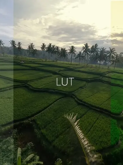 This is the power of color grading. See the transformation from the flat RAW file, to the initial LUT application, to the Final Grade that creates a specific mood and cinematic quality.