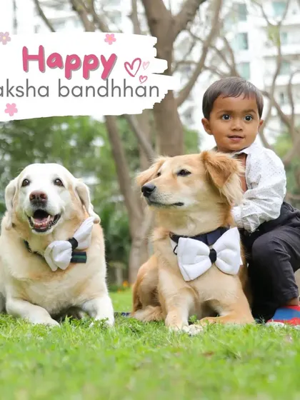 A happy Raksha Bandhan portrait of a young boy with his two furry siblings, all dressed in matching bowties for the special occasion.