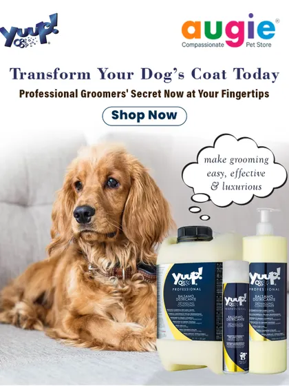 You can transform your dog's coat today with the groomers' secret. This professional detangling conditioner makes grooming easy, effective, and luxurious, giving you salon-quality results at home.