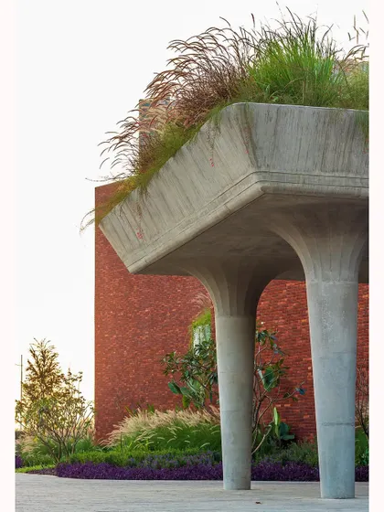 The soft ornamental grasses planted atop the concrete umbrella columns add a delicate touch to the strong architectural elements. This is a clear example of how landscape can add meaning and softness to built forms.