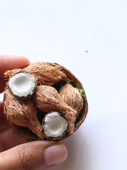A close-up of a miniature basket of coconuts, showing the realistic husk and white flesh.