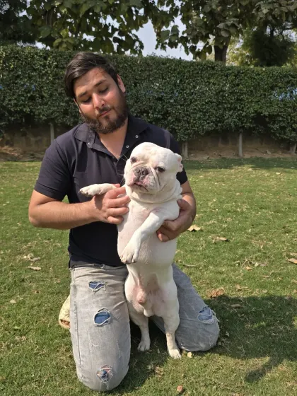 More cuddles and playtime. We believe that physical affection is just as important as exercise for a pet's well-being.