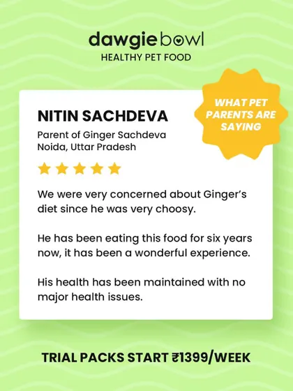 Six years and still going strong! This review from Ginger's parent in Noida shows our long-term commitment to maintaining health and satisfying even choosy pets.