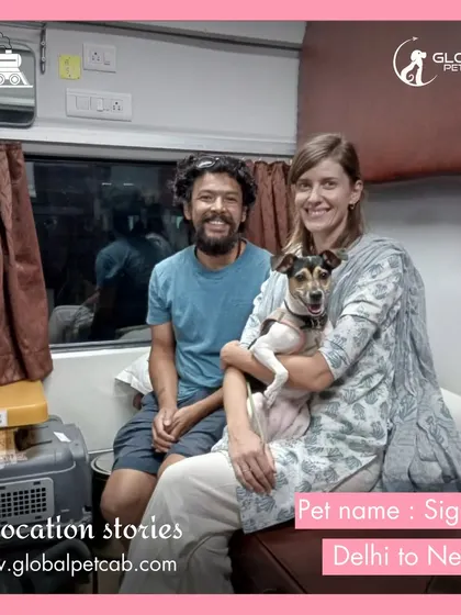 Sigga, a lovely Indie dog, traveling with her family from Delhi all the way to Nepal. We are experienced in managing the logistics of international pet travel by train.