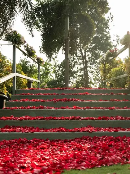 Steps covered in a thick carpet of red rose petals, creating a romantic and dramatic pathway for the bride's entrance.