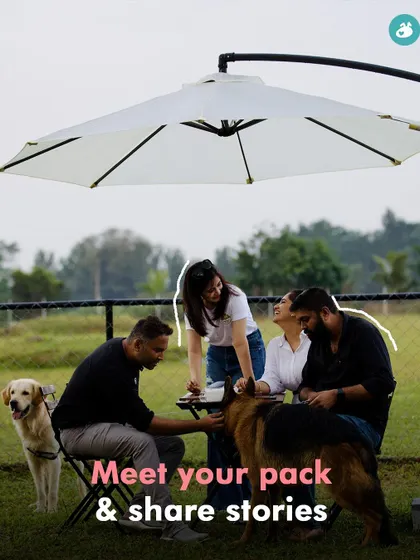 A duplicate of the "meet your pack" image, emphasizing the community aspect of our events.