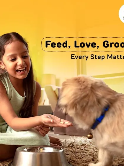 Every step in your pet's care routine matters. From feeding them a good meal to a loving grooming session, these are the moments that build a bond and ensure their well-being.