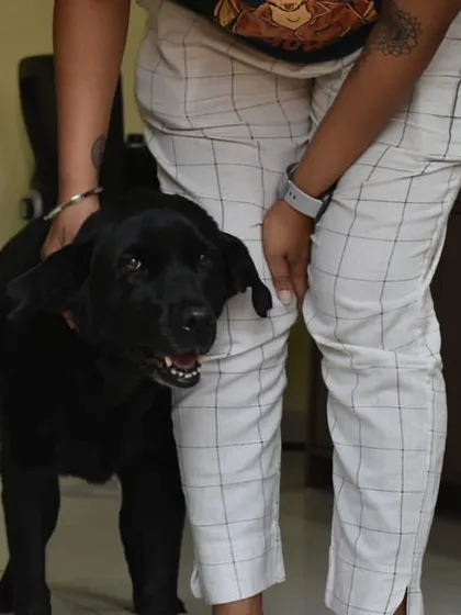 ADOPTED! Karma with her new human. We posted her appeal with our fingers crossed, and the perfect family came forward. Senior dogs have so much love to give.