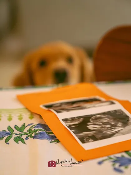 A creative shot focusing on the ultrasound pictures with a curious Grey blurred in the background. It's a unique way to announce a new family member.