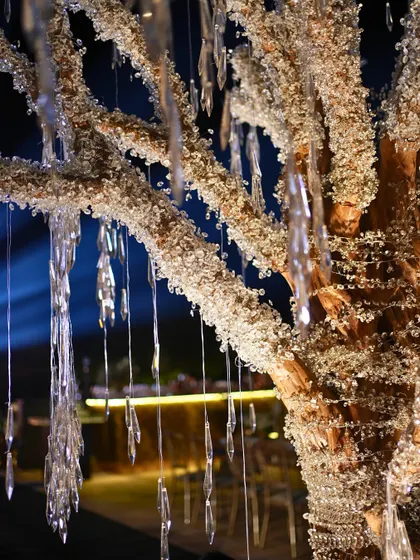 A close-up of the crystal-encrusted branches of the Gatsby-themed tree, with hanging crystal droplets that caught the light.
