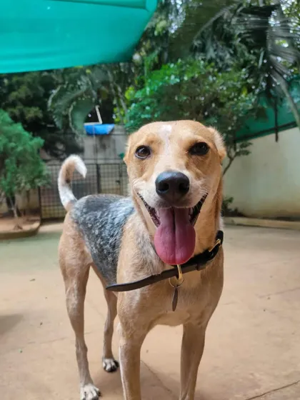 Zuri's happy grin is the best reward. We love seeing our guests so full of joy and life.