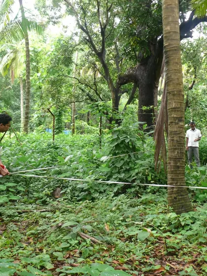 The journey of the K-Lagoon project began with a careful survey of the site. Here, our team measures and marks the location of every tree, ensuring the design would coexist harmoniously with the existing landscape.