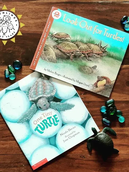 Our curriculum is rich with stories, music, and cultural explorations. This collection shows the variety of books we read, the activities we do, and the celebrations we share to broaden our children's horizons.