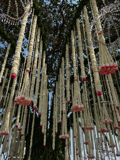 A close-up of the beautiful floral strings, made of tuberose and roses, hanging from the mandap tree.