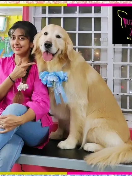 Birthday Boy Mufasa the Golden Retriever is celebrating in style after his spa session. A grooming appointment is a perfect way to pamper your pet on their special day.
