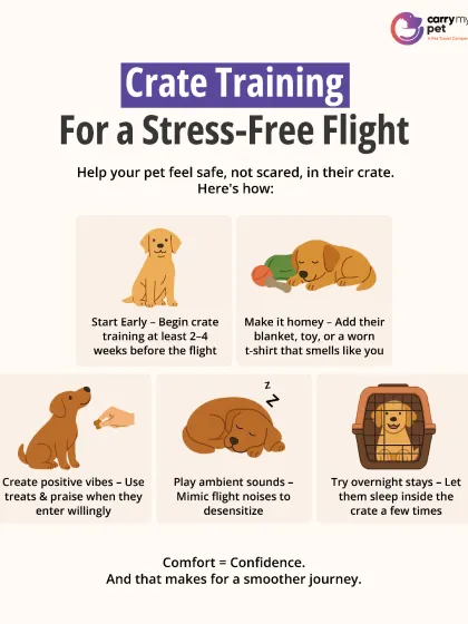 Crate training is essential for a stress-free flight. This guide shows you how to help your pet feel safe, not scared, in their crate, from starting early to making it a comfy space.