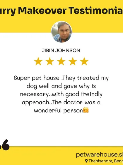 A friendly approach and necessary care are central to how we operate. We're thrilled this customer felt their dog was treated well by our wonderful doctor.