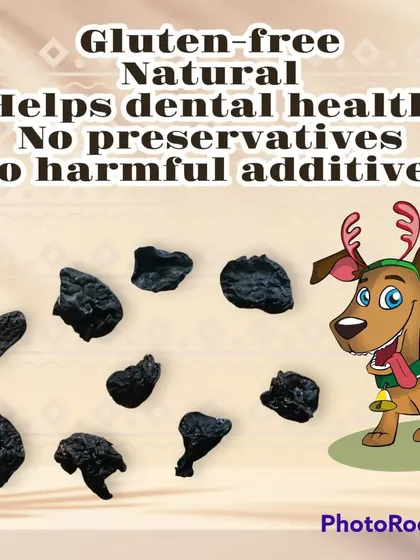 My treats are gluten-free, with no preservatives or harmful additives. This graphic highlights the natural benefits of my homemade snacks.