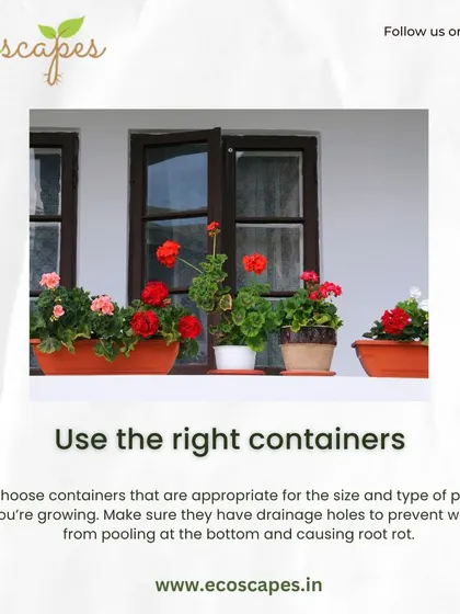 Tip: Use the right containers. Ensure your pots are the correct size for your plants and have drainage holes at the bottom to let excess water escape.